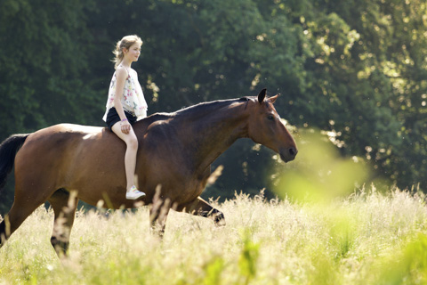 Kleines Mädchen reitet Pferd